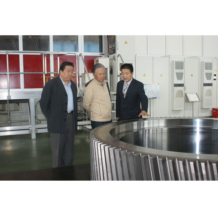 前江蘇副省長(zhǎng)楊曉棠視察天山重工